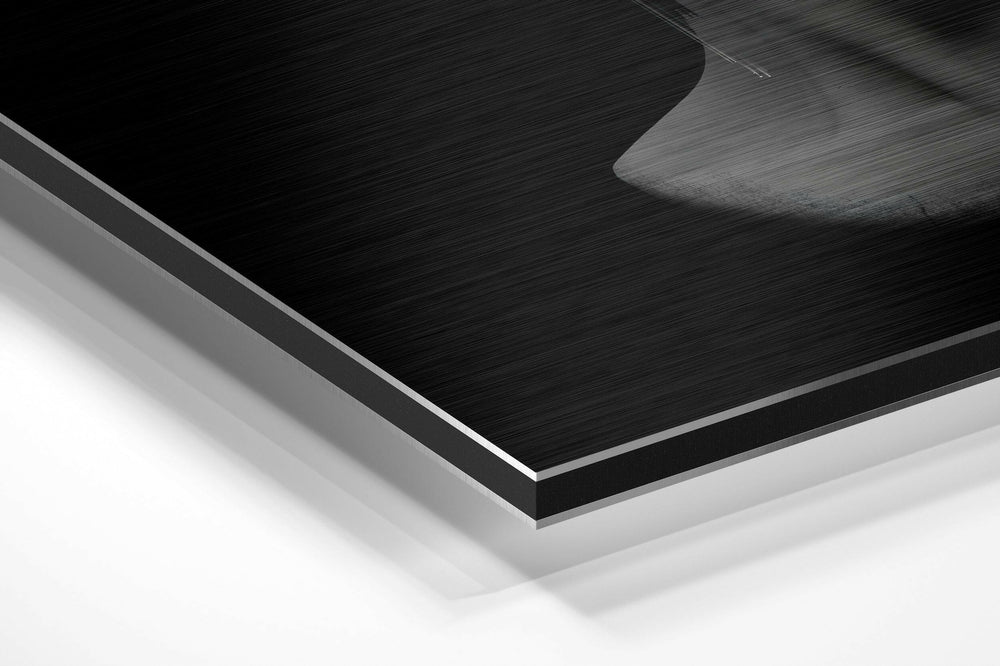 The Art of Sculpture Brushed Aluminium Dibond Wall Art.
