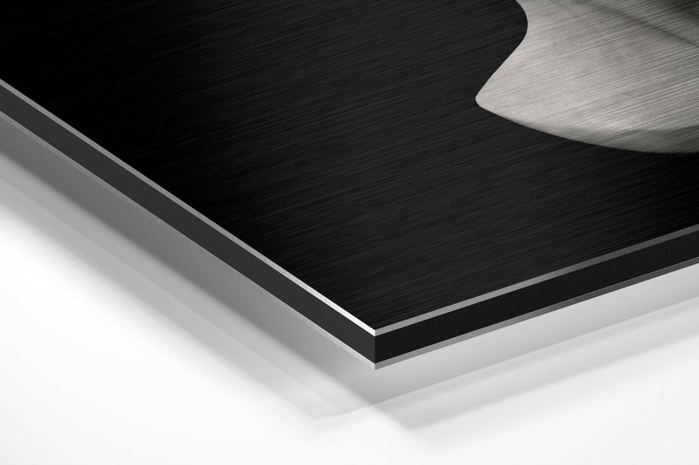 The Art of Sculpture Brushed Aluminium Dibond Wall Art.