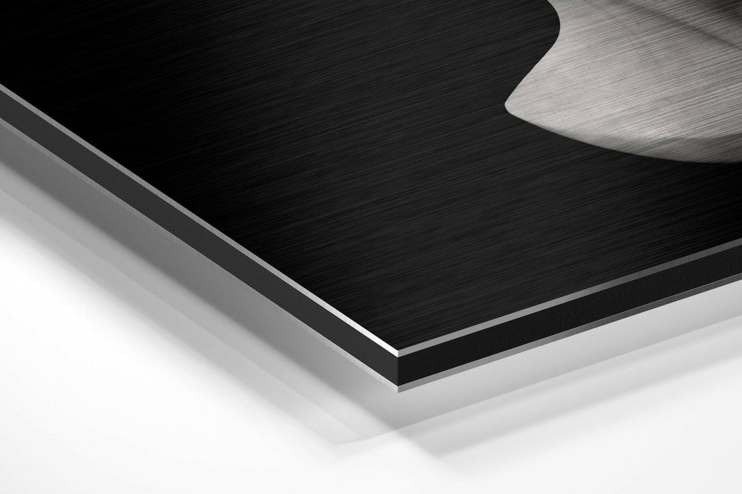 The Art of Sculpture Brushed Aluminium Dibond Wall Art.