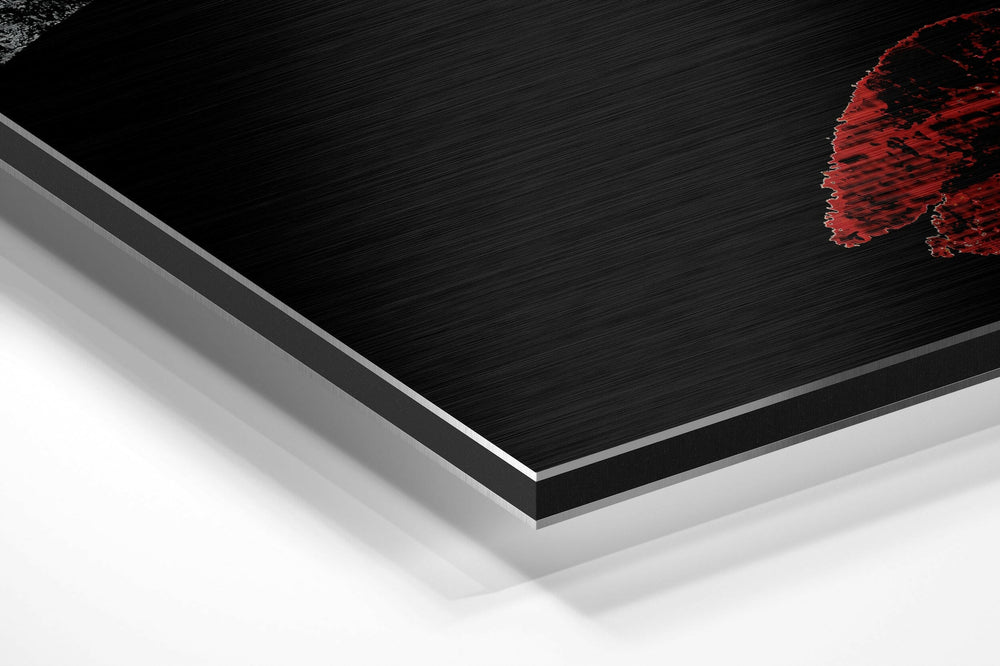 Divided  Brushed Aluminium Dibond Wall Art.