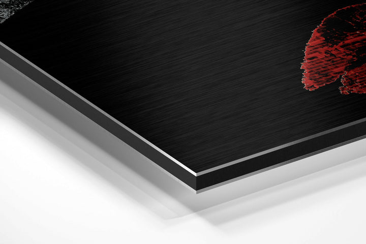 Divided  Brushed Aluminium Dibond Wall Art.