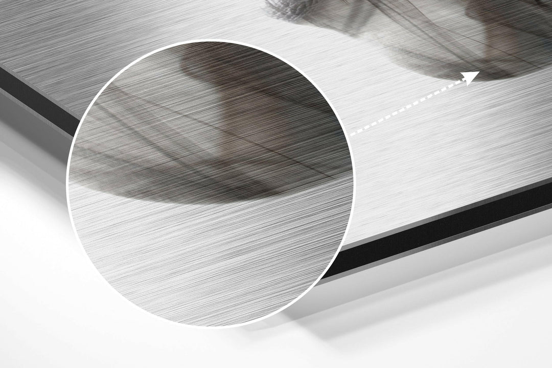 Smoked Face Brushed Aluminium Dibond Wall Art.