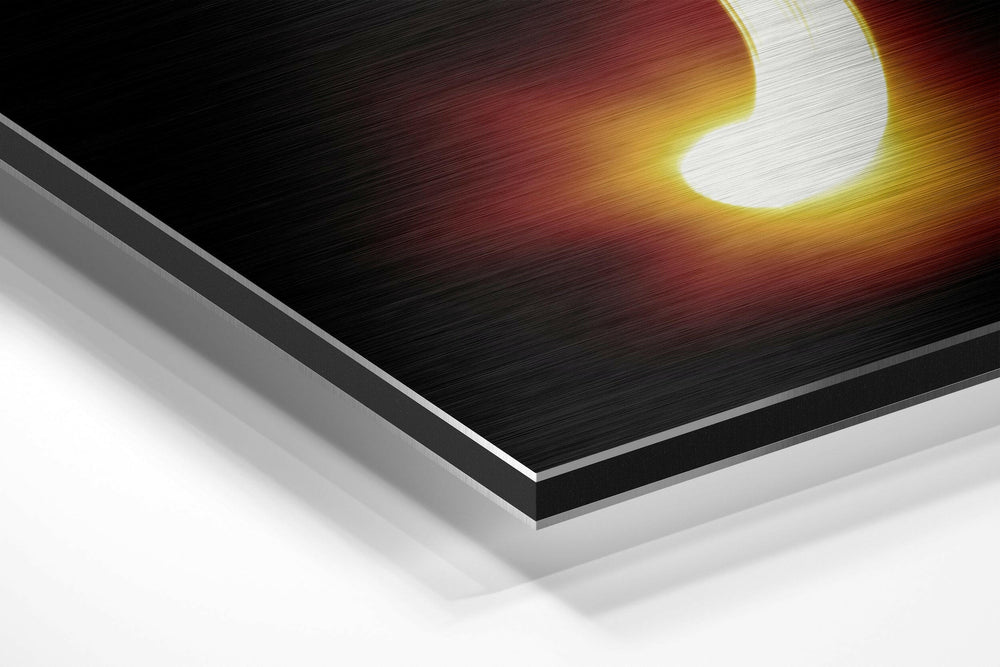 Pisces Brushed Aluminium Dibond Wall Art.