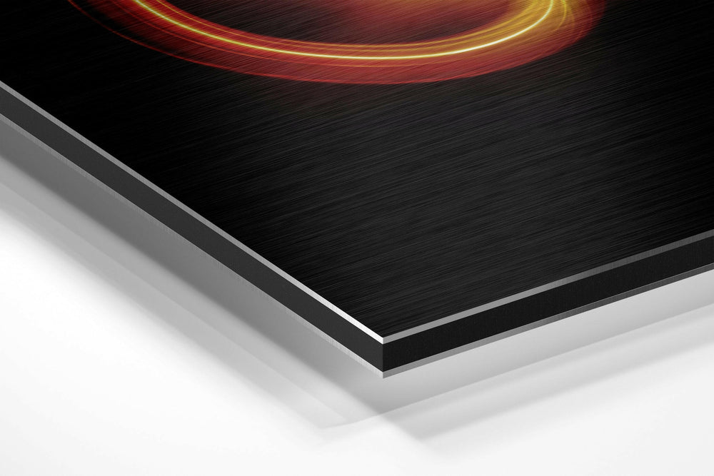 Leo Brushed Aluminium Dibond Wall Art.