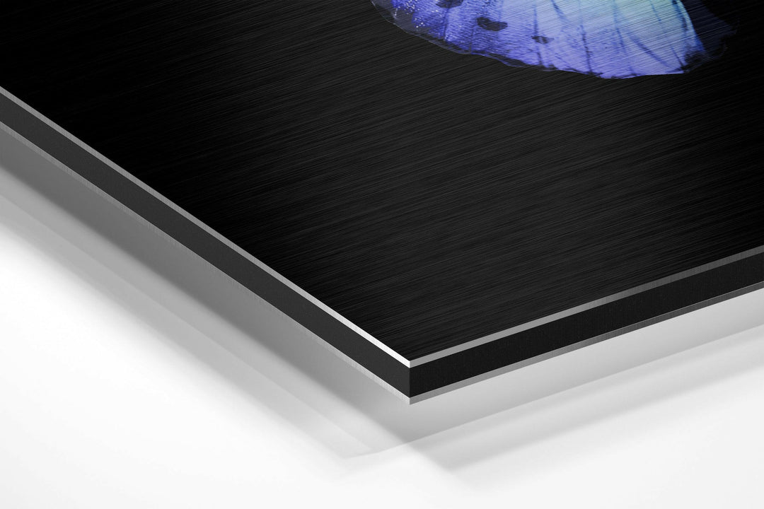 Butterfly Brushed Aluminium Dibond Wall Art.
