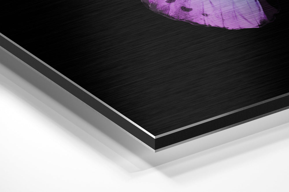 Butterfly Brushed Aluminium Dibond Wall Art.