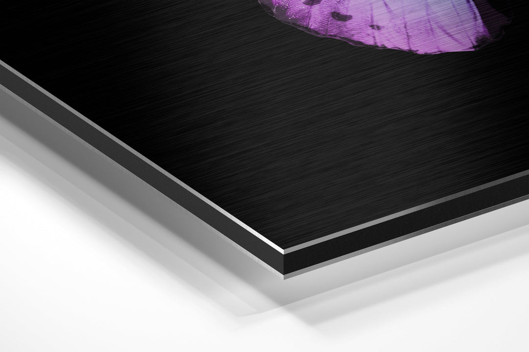 Butterfly Brushed Aluminium Dibond Wall Art.