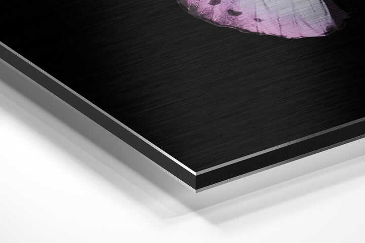 Butterfly Brushed Aluminium Dibond Wall Art.
