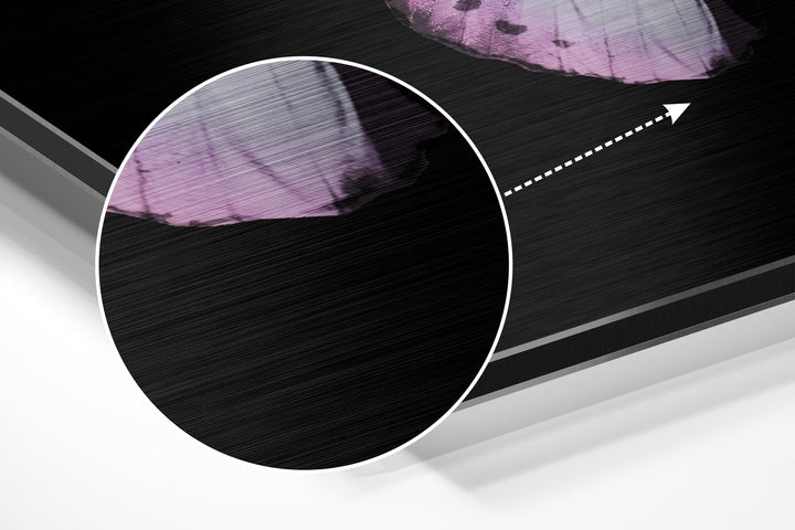 Butterfly Brushed Aluminium Dibond Wall Art.