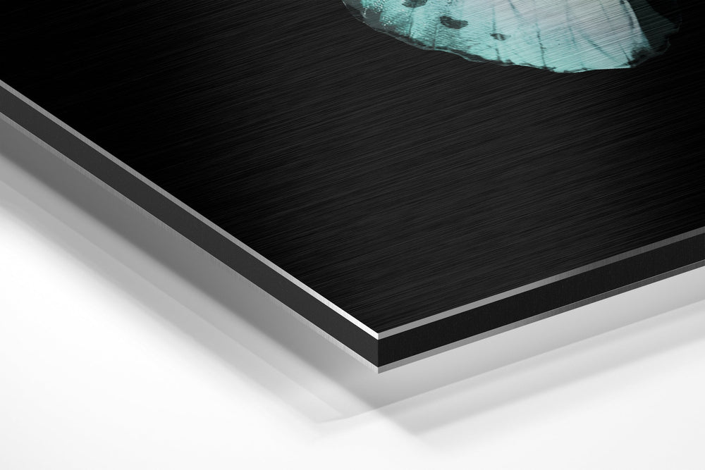 Butterfly Brushed Aluminium Dibond Wall Art.