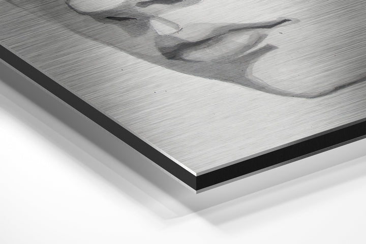 The Kid Brushed Aluminium Dibond Wall Art.