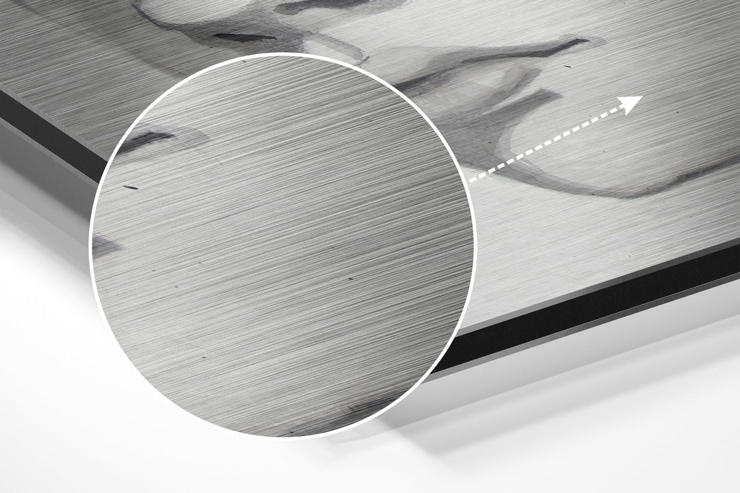 The Kid Brushed Aluminium Dibond Wall Art.
