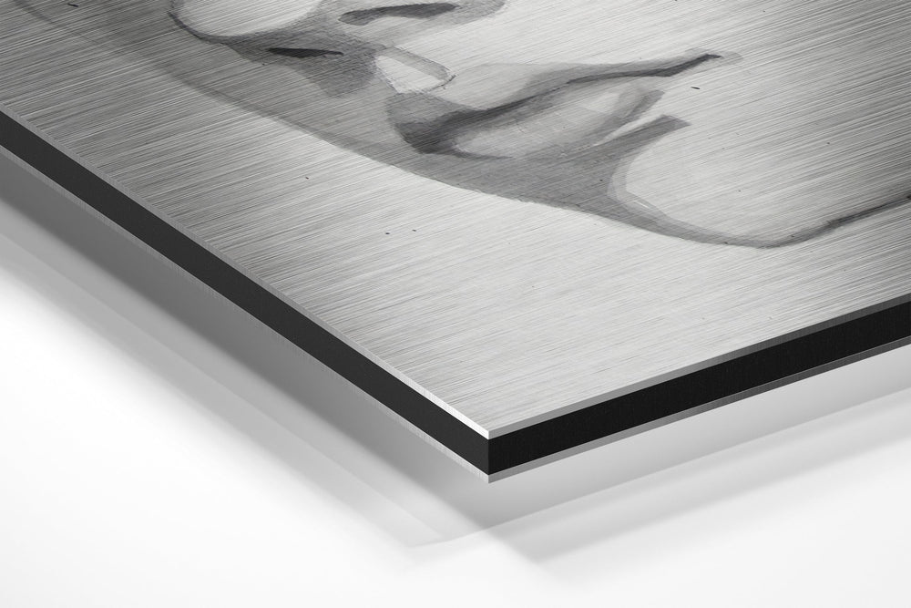 The Kid Brushed Aluminium Dibond Wall Art.
