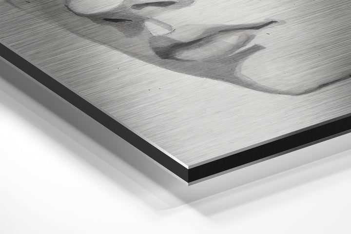 The Kid Brushed Aluminium Dibond Wall Art.