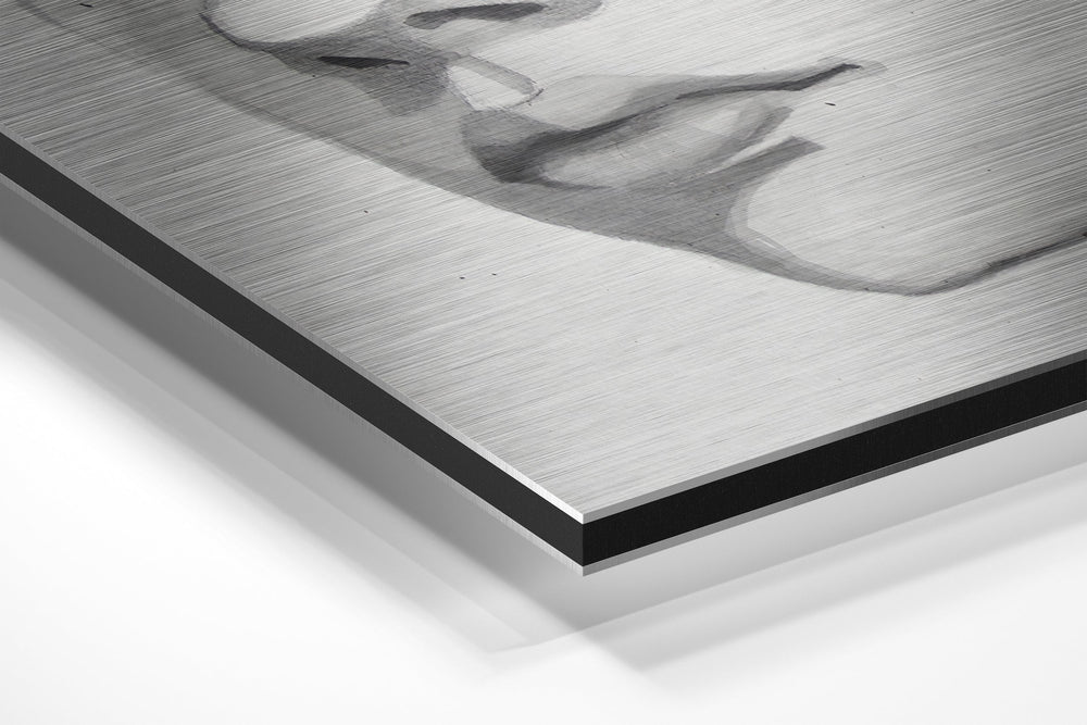 The Kid Brushed Aluminium Dibond Wall Art.