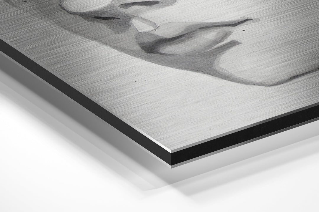 The Kid Brushed Aluminium Dibond Wall Art.