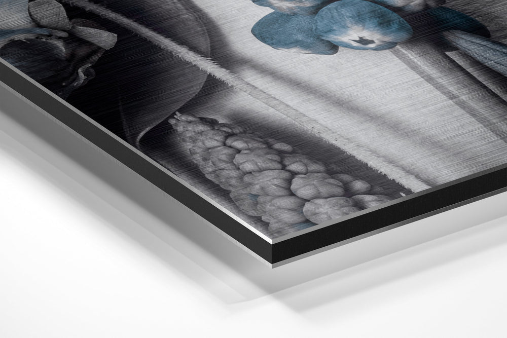 Flowers Brushed Aluminium Dibond Wall Art.