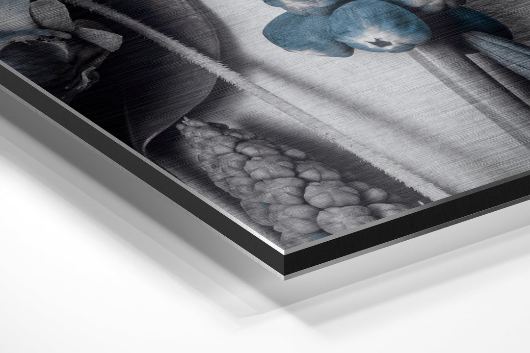 Flowers Brushed Aluminium Dibond Wall Art.
