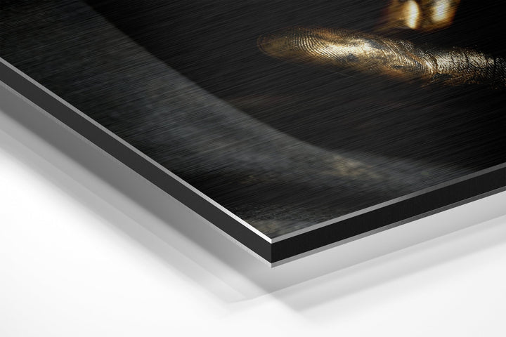 Shh Brushed Aluminium Dibond Wall Art.