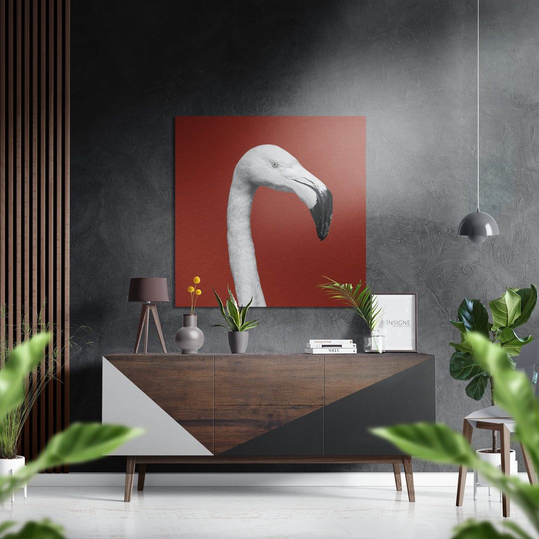 Albino Flamingo Brushed Aluminium Dibond Wall Art.