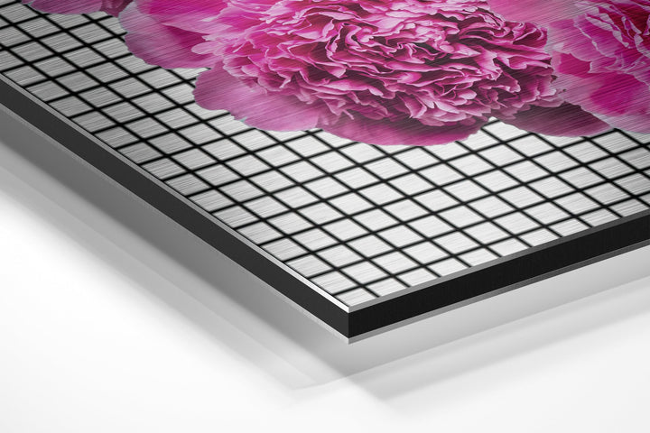 Lips Brushed Aluminium Dibond Wall Art.