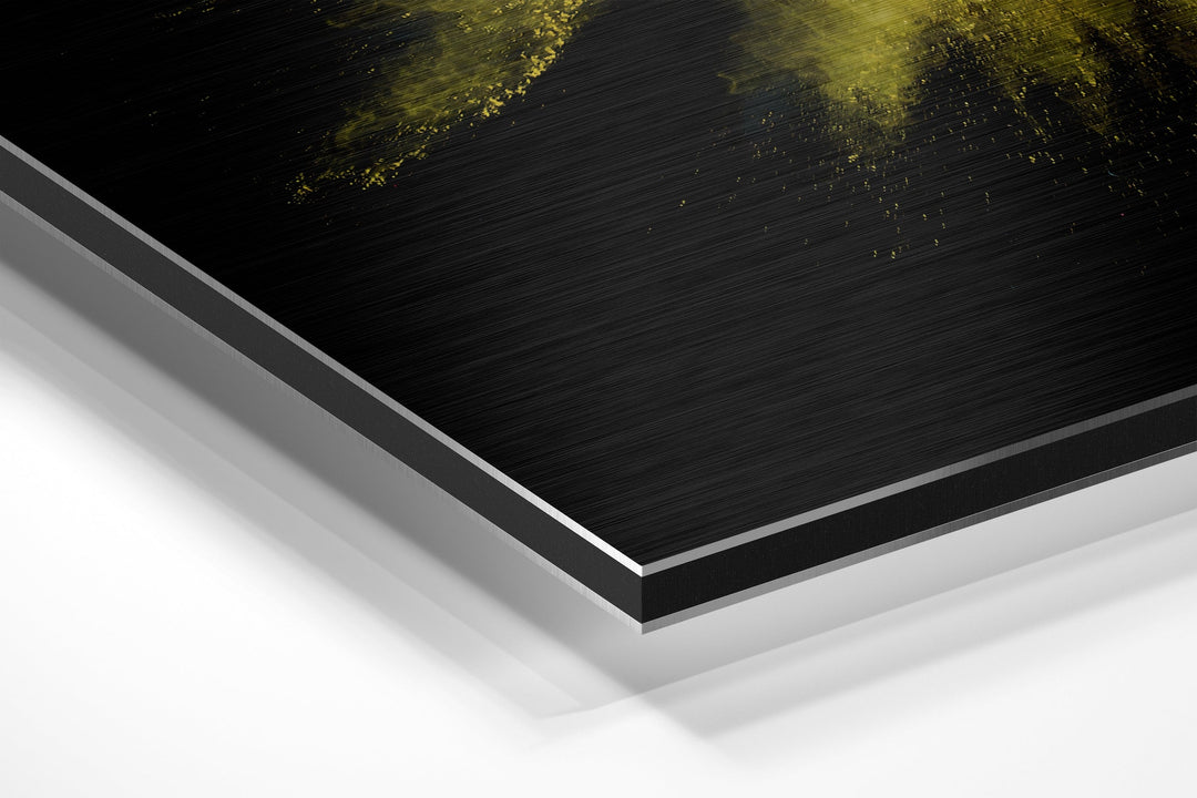Color Burst Brushed Aluminium Dibond Wall Art.