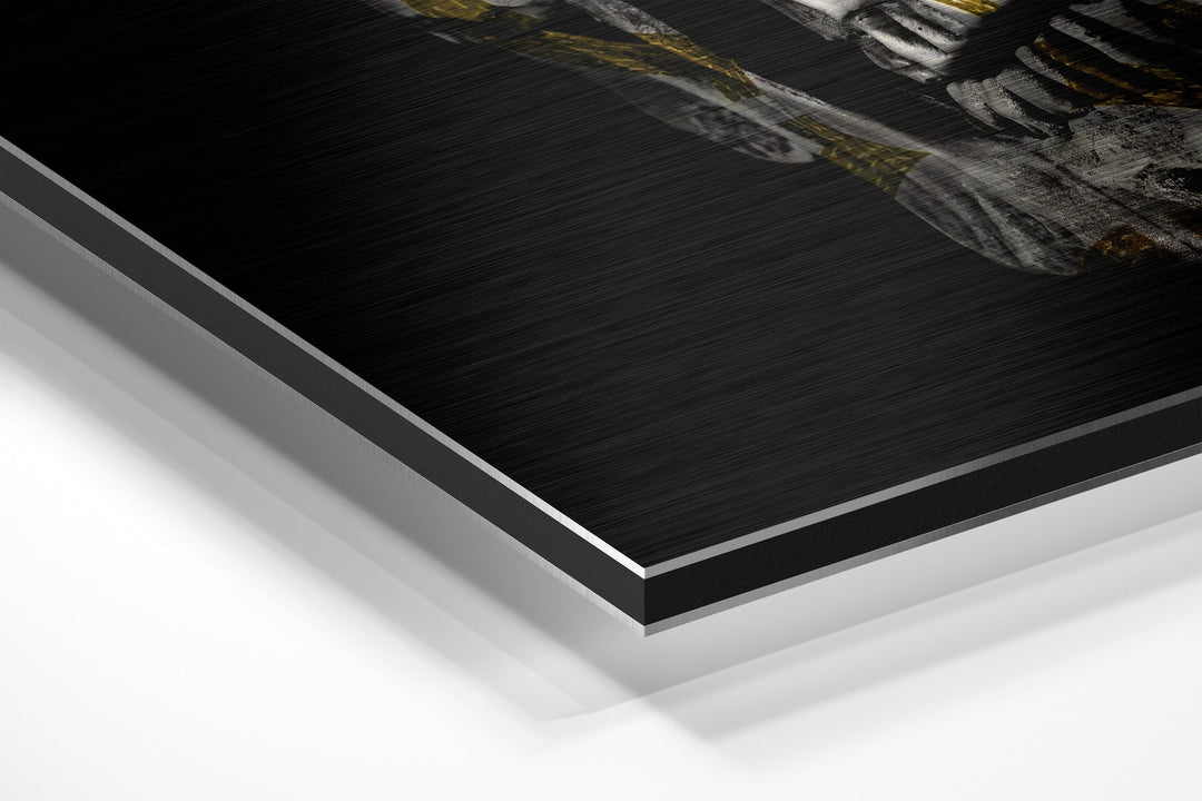 Skull Brushed Aluminium Dibond Wall Art.