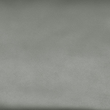 Leather Grade F: Bison Ash swatch