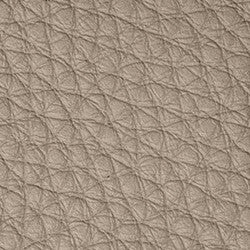 Leather Grade F: Bison Champagne swatch