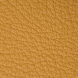 Leather Grade F: Bison Mustard swatch