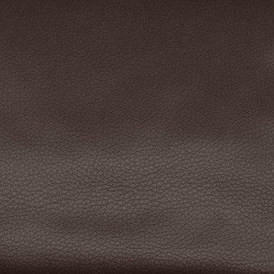 Leather Grade D: Capri Branch swatch