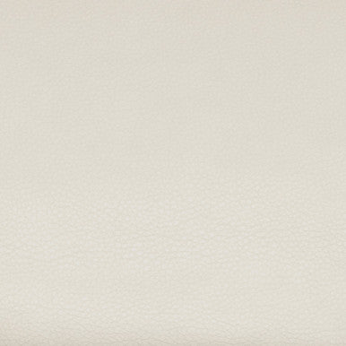 Leather Grade D: Capri Sand Dollar swatch