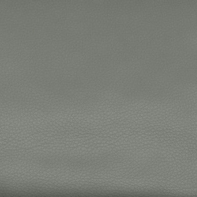 Leather Grade D: Capri Shadow swatch