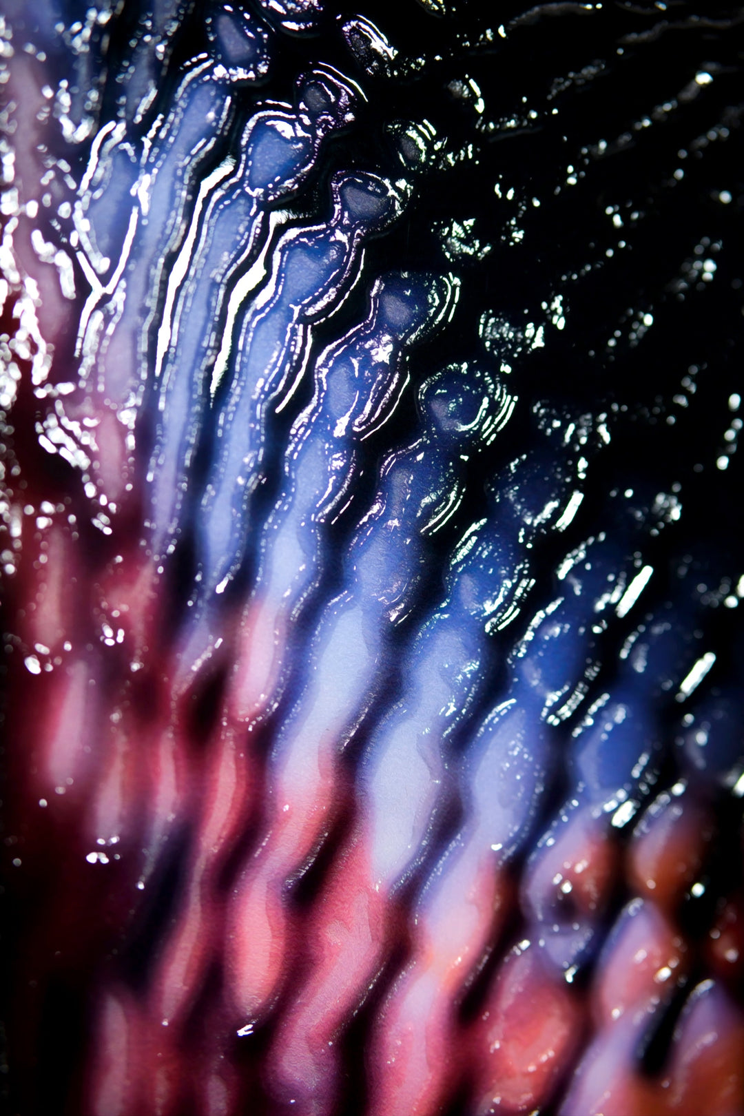 Venom Noir — Haptic 3D Embossed + High-Gloss Lacquer Print Insigne Art Design