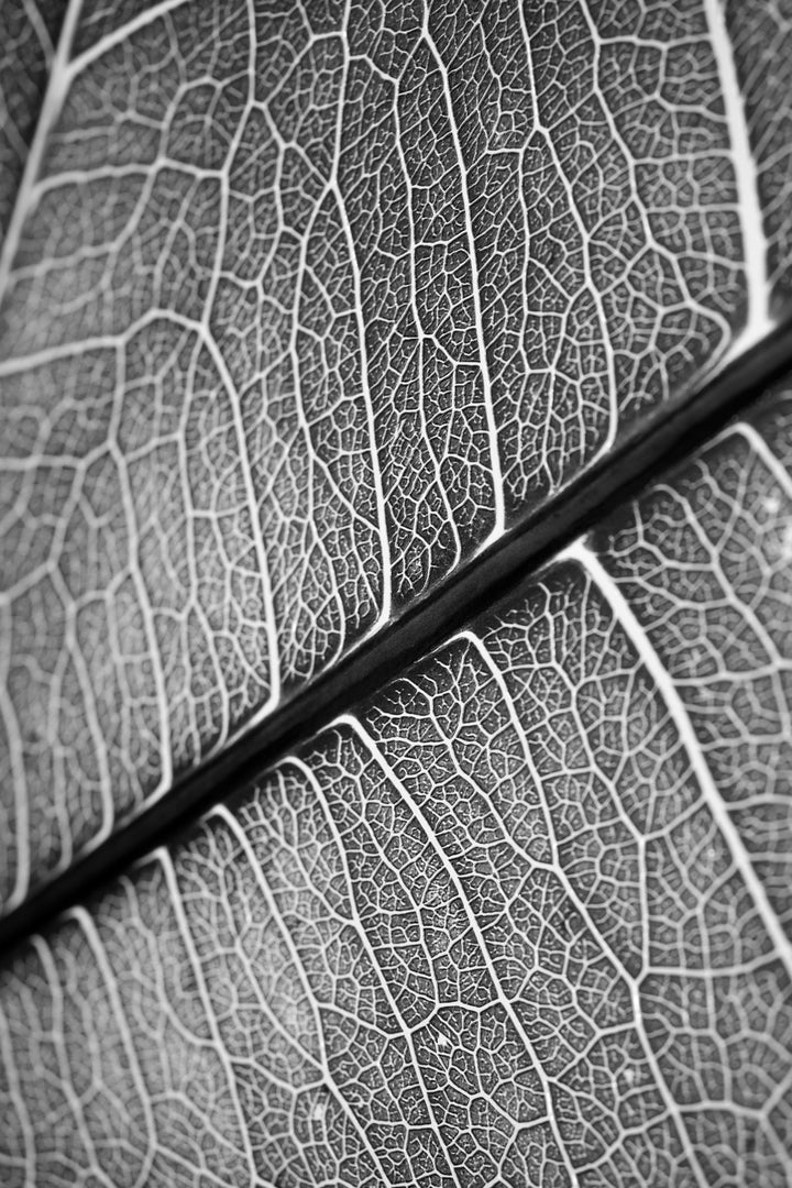 Silver Veins — Haptic 3D Embossed + Gloss Lacquer Print Home &amp; Garden > Decor > Artwork > Posters, Prints, &amp; Visual Artwork Insigne Art Design