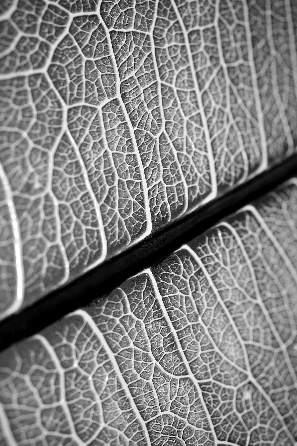 Silver Veins — Haptic 3D Embossed + Gloss Lacquer Print Home & Garden > Decor > Artwork > Posters, Prints, & Visual Artwork Insigne Art Design