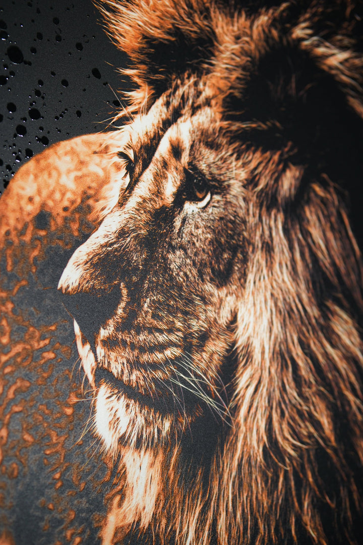 Lacquer Rain King — Haptic 3D Embossed + Pure Gloss Lacquer Print Home &amp; Garden > Decor > Artwork > Posters, Prints, &amp; Visual Artwork Insigne Art Design