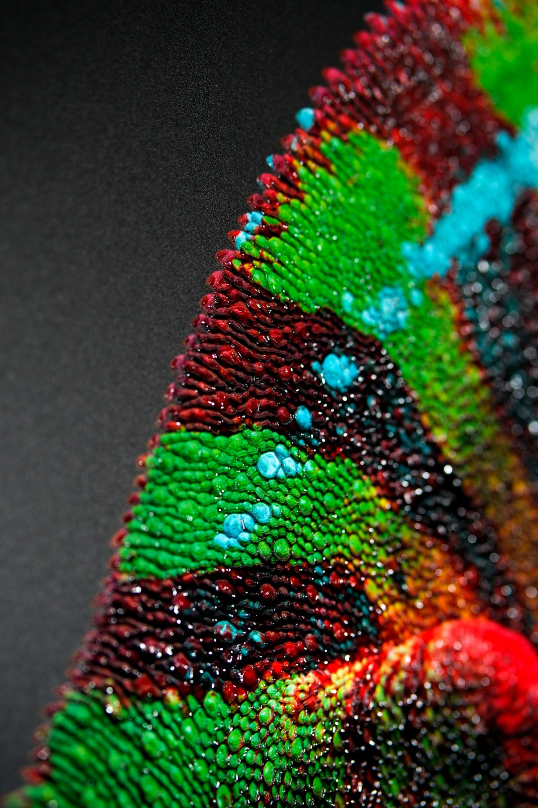 Prismskin Guardian — Haptic 3D Embossed + High-Gloss Lacquer Print Home &amp; Garden > Decor > Artwork > Posters, Prints, &amp; Visual Artwork Insigne Art Design