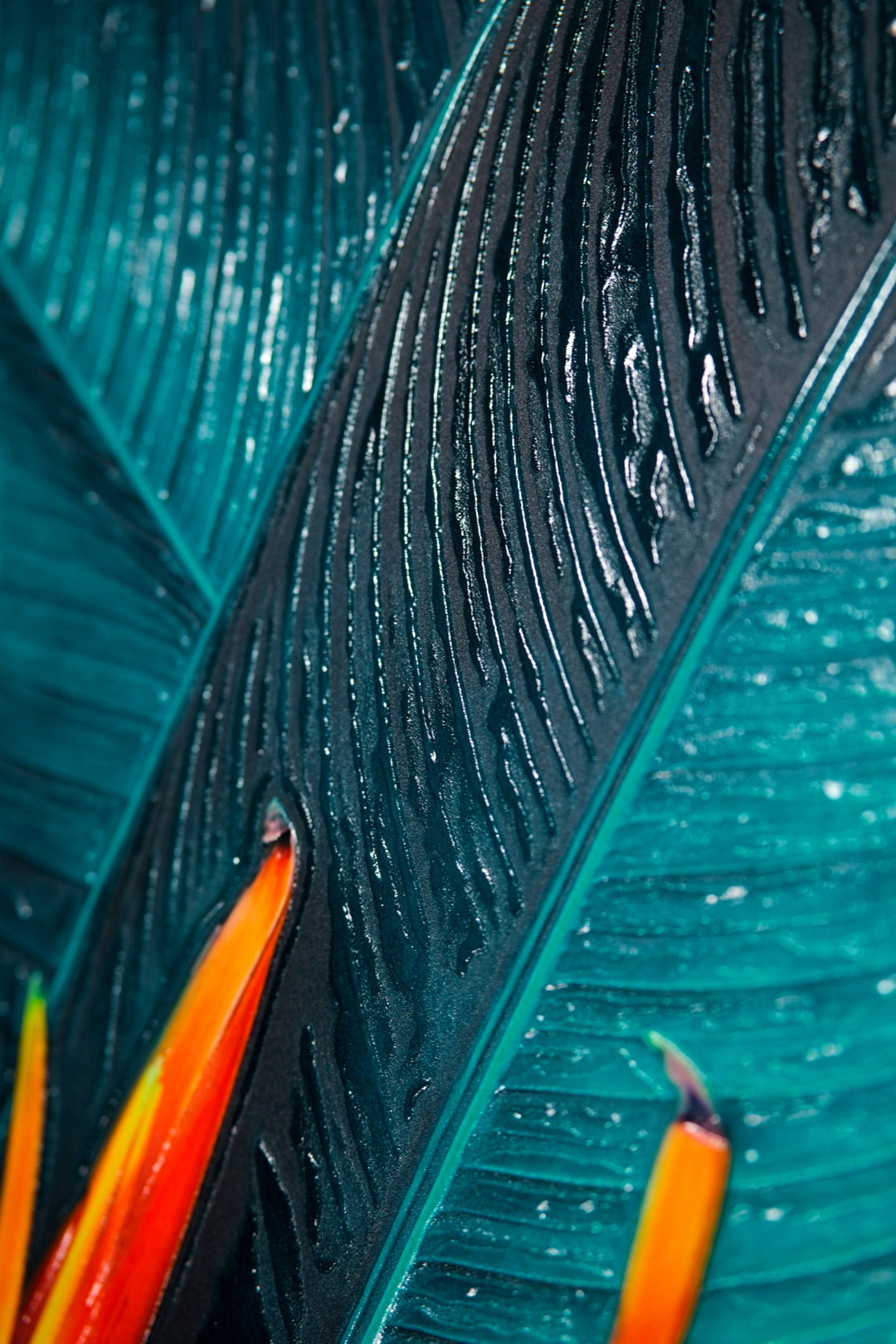 Teal Canopy Flame — Haptic 3D Embossed + Gloss Lacquer Print Home &amp; Garden > Decor > Artwork > Posters, Prints, &amp; Visual Artwork Insigne Art Design