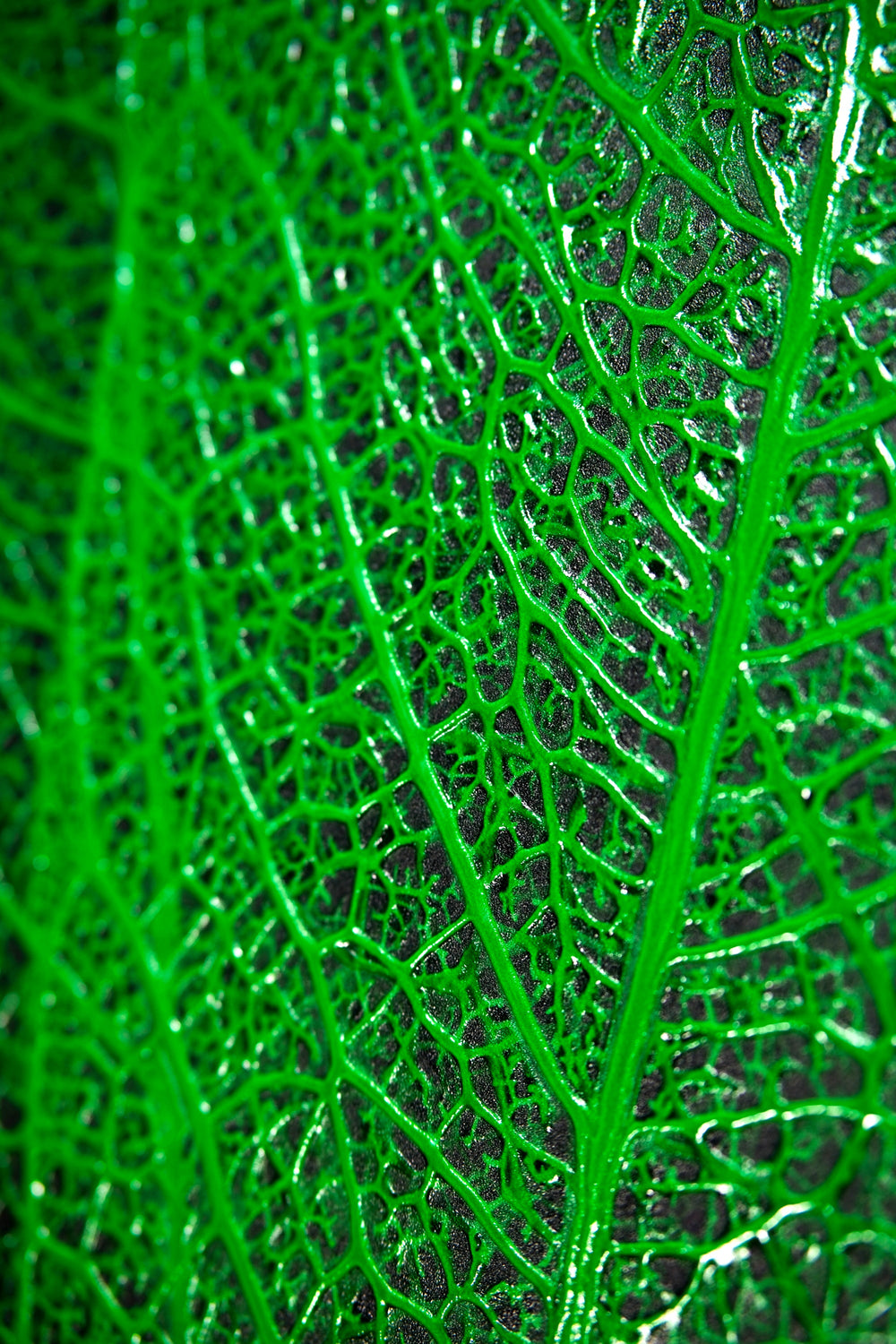 Verdant Lattice — Haptic 3D Embossed + High-Gloss Lacquer Print Home & Garden > Decor > Artwork > Posters, Prints, & Visual Artwork Insigne Art Design