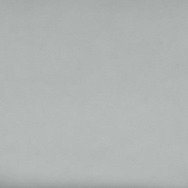 Leather Grade F: Dolce Pewter swatch
