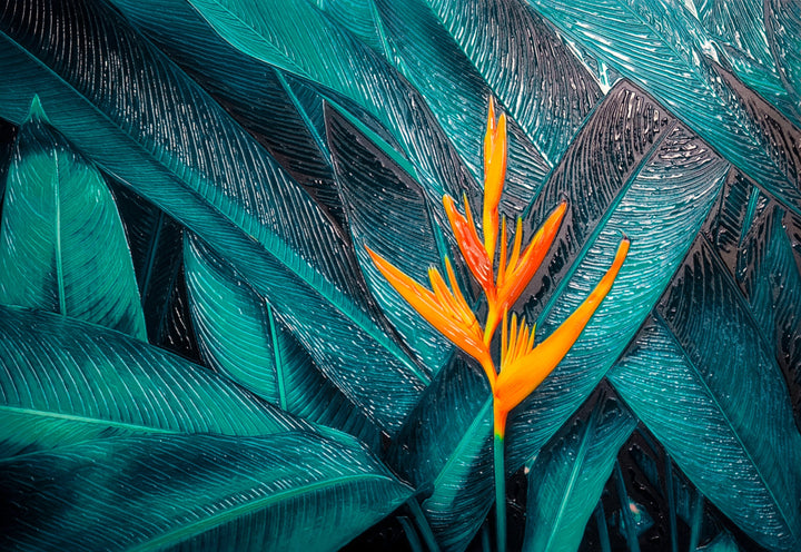 Teal Canopy Flame — Haptic 3D Embossed + Gloss Lacquer Print Home &amp; Garden > Decor > Artwork > Posters, Prints, &amp; Visual Artwork Insigne Art Design