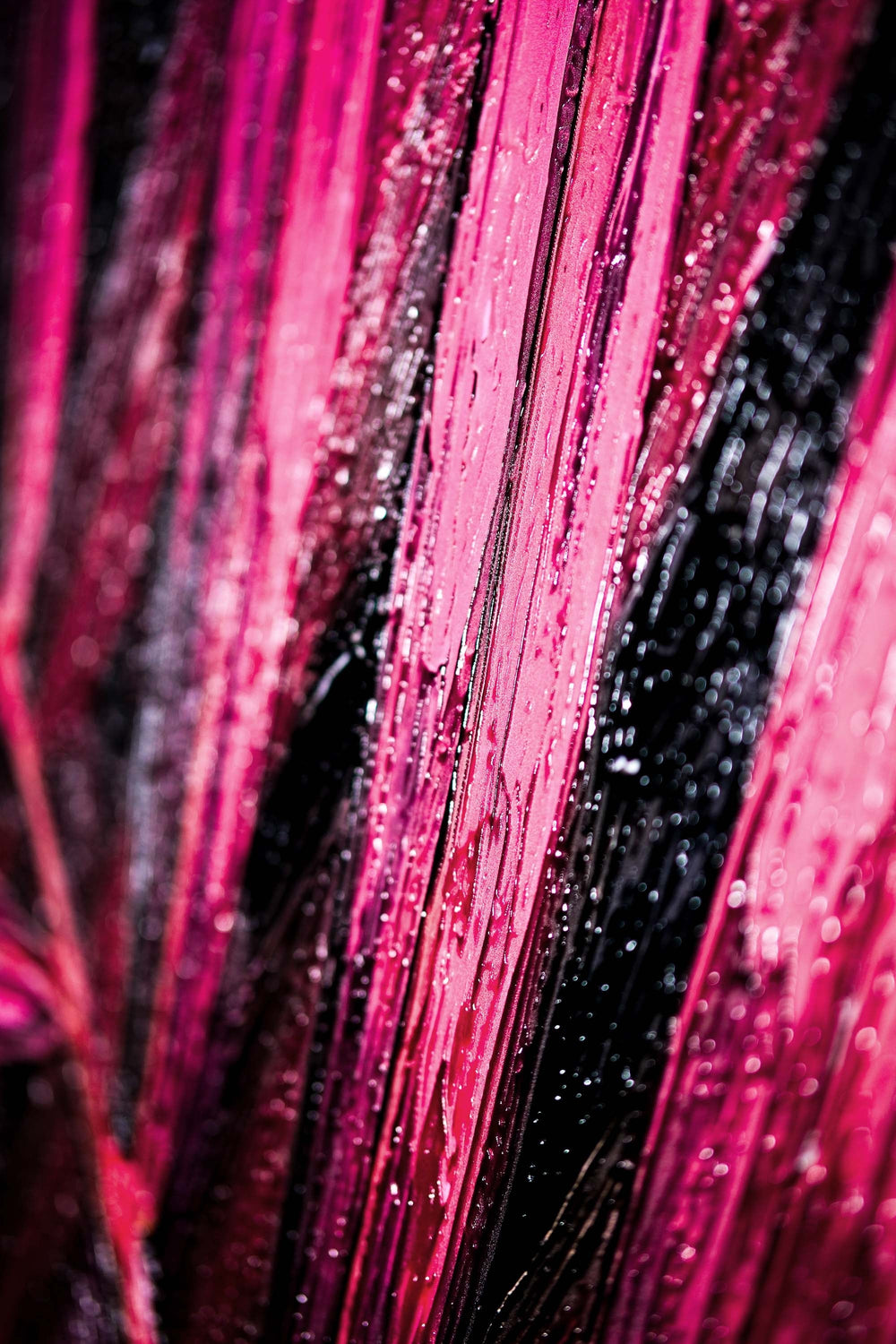 Magenta Midnight Frond — A Sculpted Pulse of Tropical Velvet Home & Garden > Decor > Artwork > Posters, Prints, & Visual Artwork Insigne Art Design