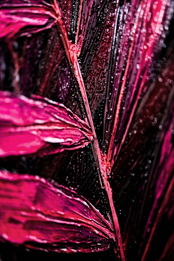 Magenta Midnight Frond — A Sculpted Pulse of Tropical Velvet Home &amp; Garden > Decor > Artwork > Posters, Prints, &amp; Visual Artwork Insigne Art Design
