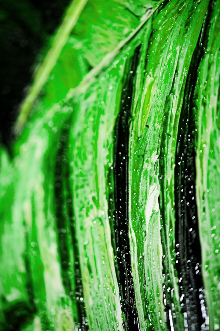 Verdant Tropics Infusion — 3D Haptic Embossed High-Gloss Luxury Wall Art Home &amp; Garden > Decor > Artwork > Posters, Prints, &amp; Visual Artwork Insigne Art Design