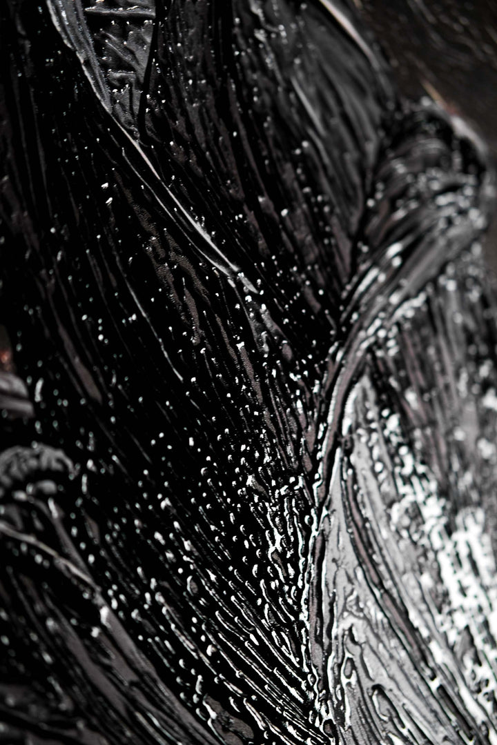 Noir Lilies &amp; Gilded Shadows — 3D Haptic Embossed High-Gloss Luxury Wall Art Home &amp; Garden > Decor > Artwork > Posters, Prints, &amp; Visual Artwork Insigne Art Design