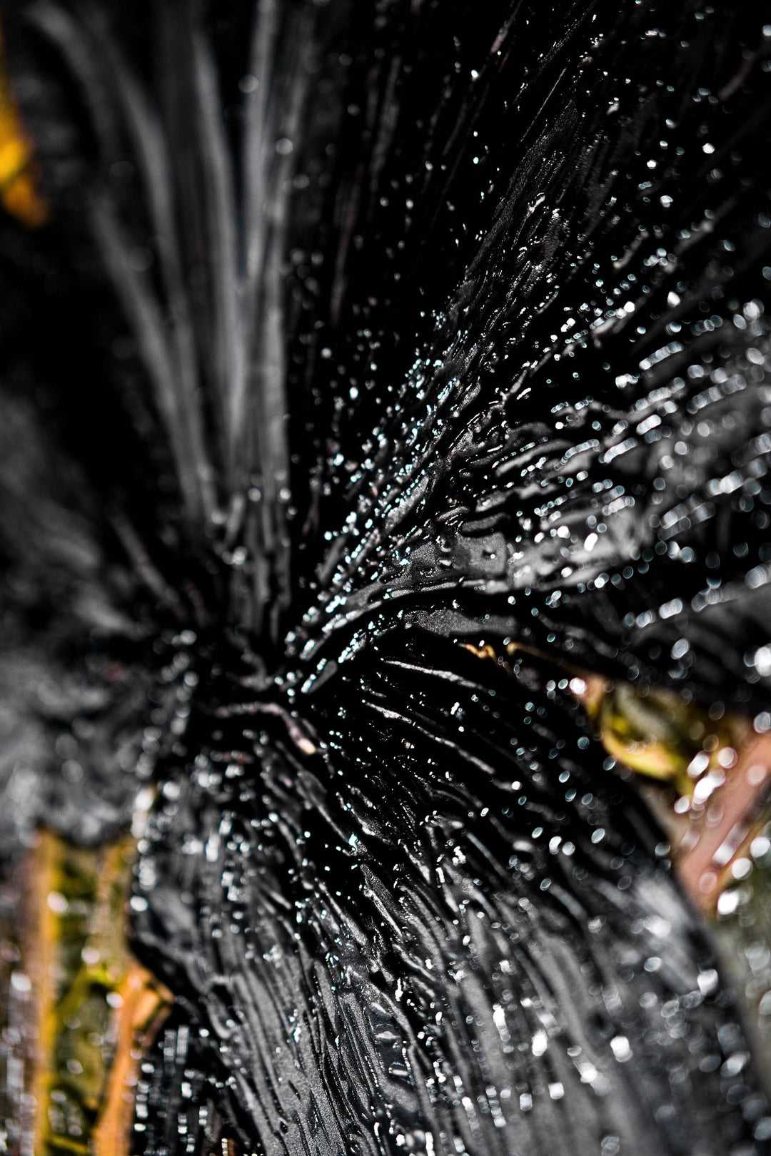 Noir Lilies &amp; Gilded Shadows — 3D Haptic Embossed High-Gloss Luxury Wall Art Home &amp; Garden > Decor > Artwork > Posters, Prints, &amp; Visual Artwork Insigne Art Design
