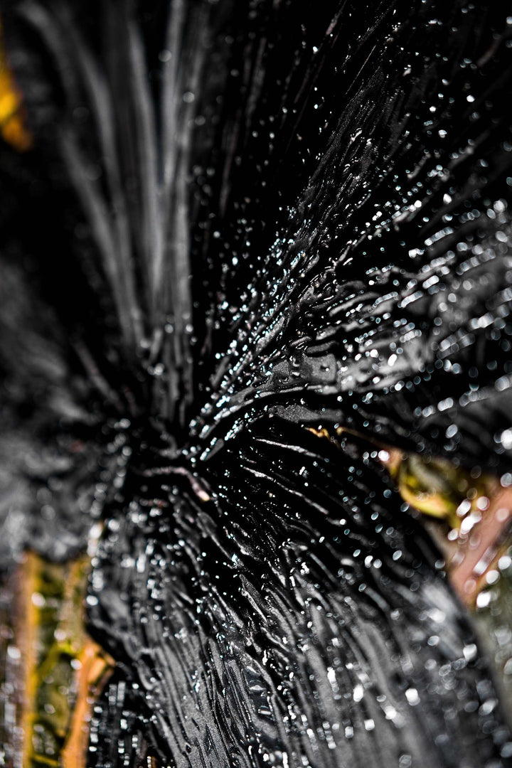 Noir Lilies &amp; Gilded Shadows — 3D Haptic Embossed High-Gloss Luxury Wall Art Home &amp; Garden > Decor > Artwork > Posters, Prints, &amp; Visual Artwork Insigne Art Design