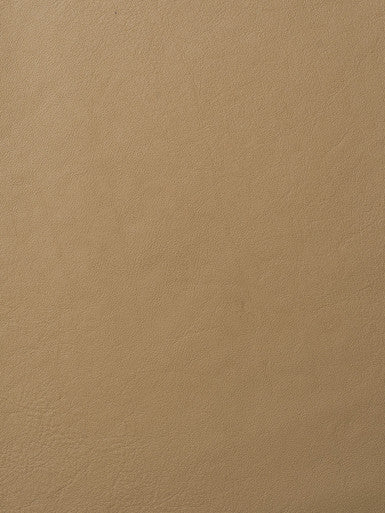 Leather Grade G: Elmosoft Cashew swatch