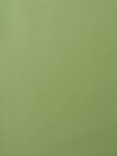 Leather Grade G: Elmosoft Verdant Leaf swatch